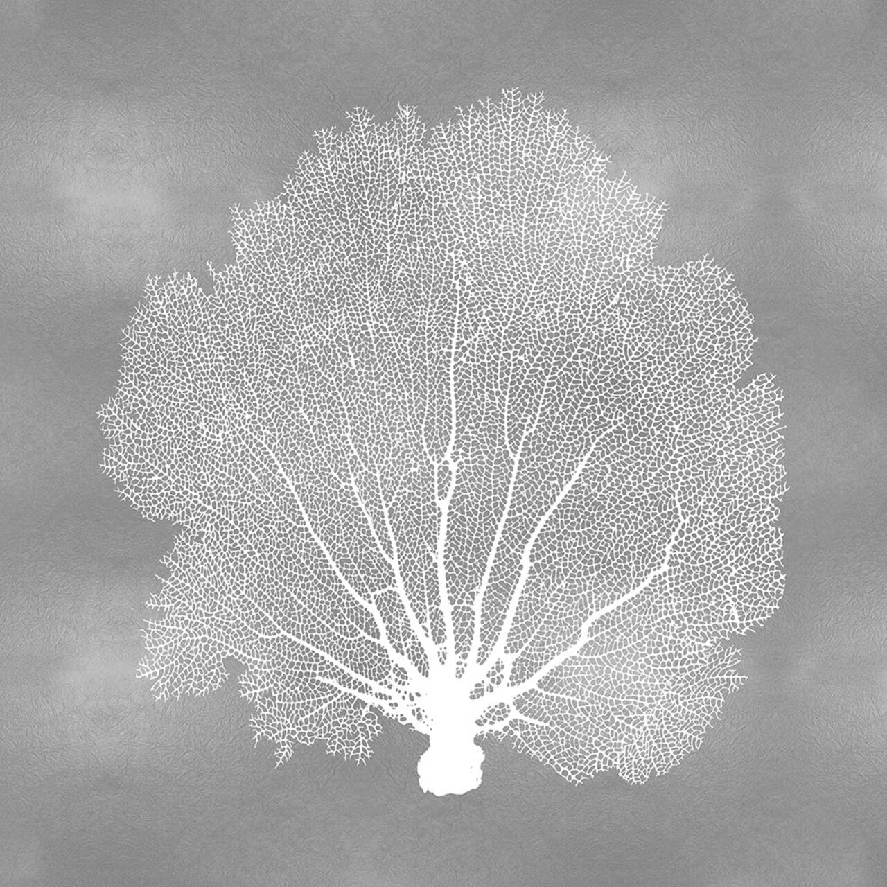 Sea Fan on Silver IV Poster Print by Melonie Miller # MMR116778